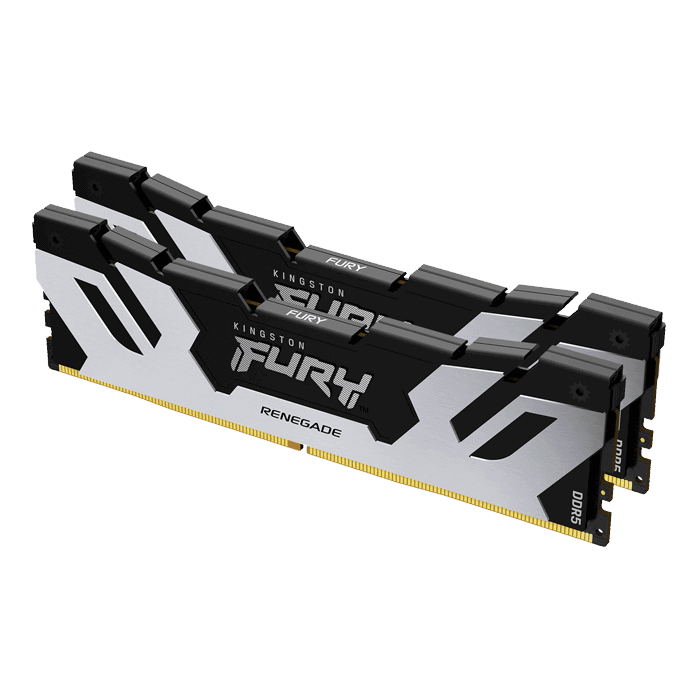 Kingston FURY Renegade 32 GB